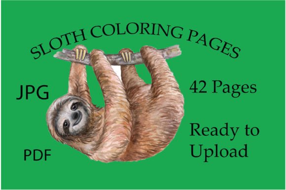 Sloth Coloring Pages for Kids and Adults: A Mindful Escape for Stress Relief